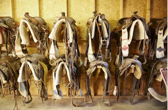 Rancho De Los Caballeros Wickenburg Dış mekan fotoğraf