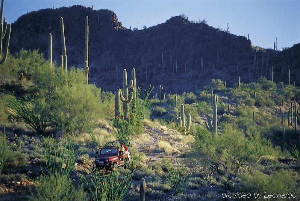 Rancho De Los Caballeros Wickenburg Dış mekan fotoğraf