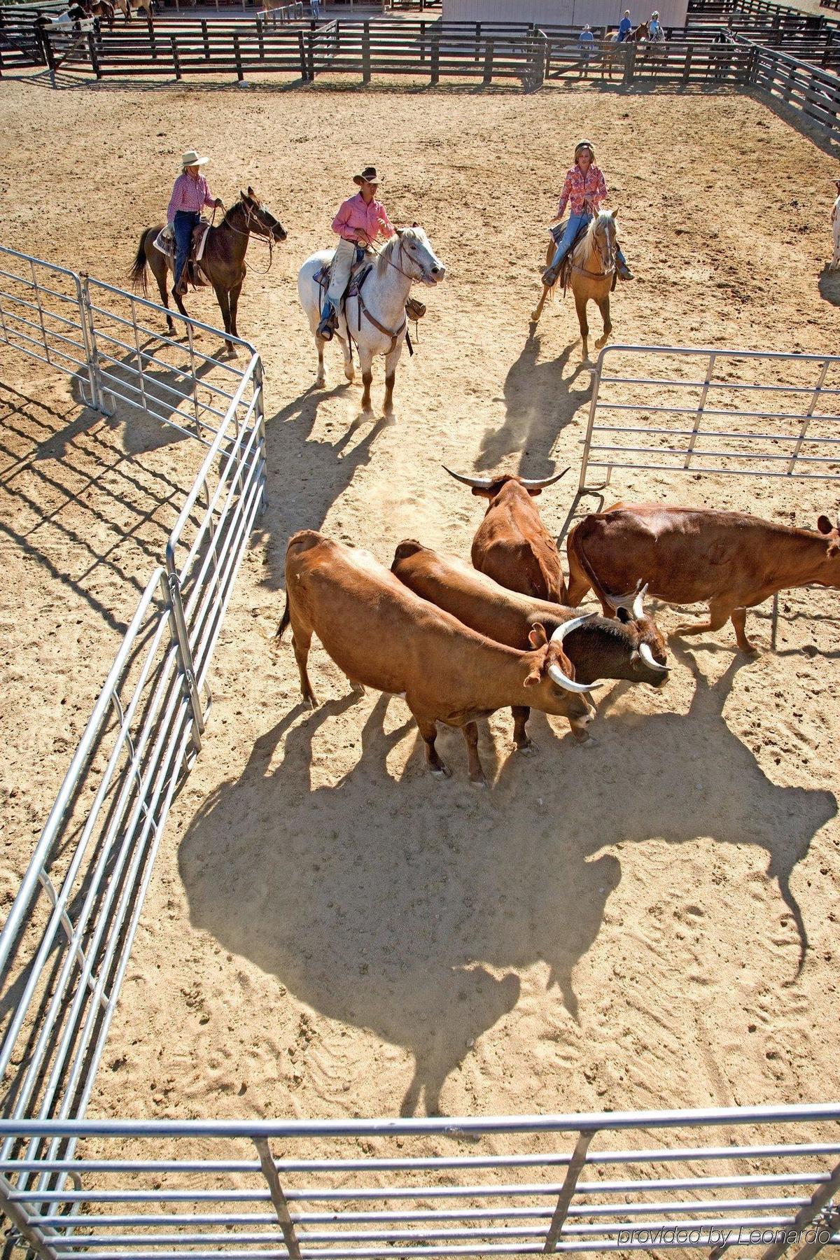 Rancho De Los Caballeros Wickenburg Dış mekan fotoğraf