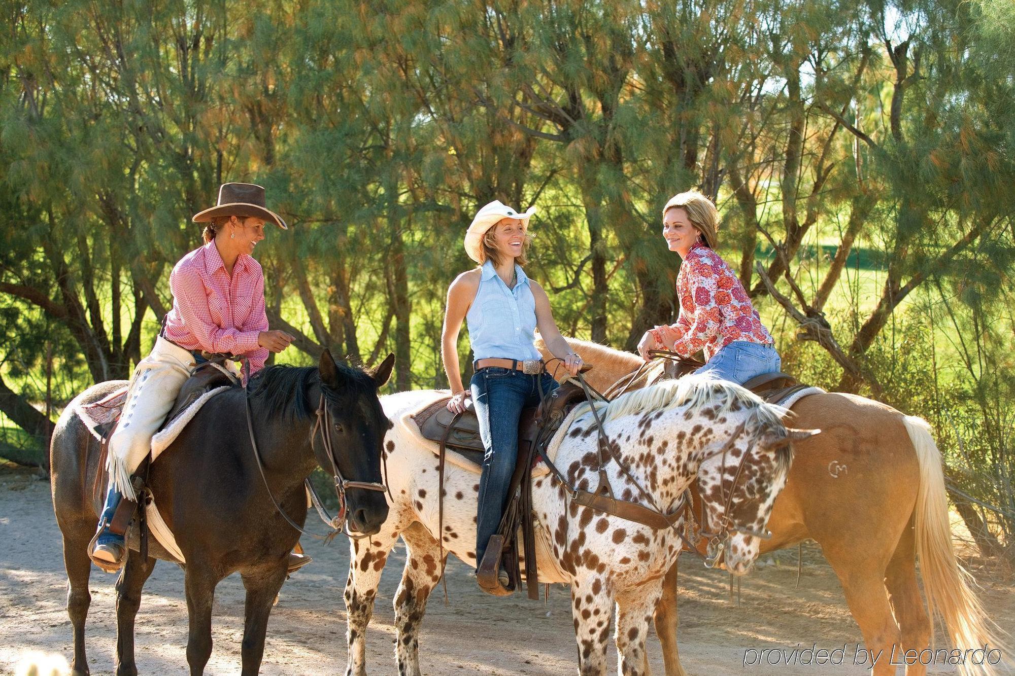 Rancho De Los Caballeros Wickenburg Dış mekan fotoğraf