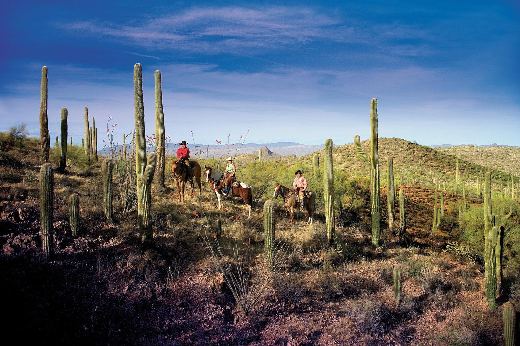 Rancho De Los Caballeros Wickenburg Dış mekan fotoğraf