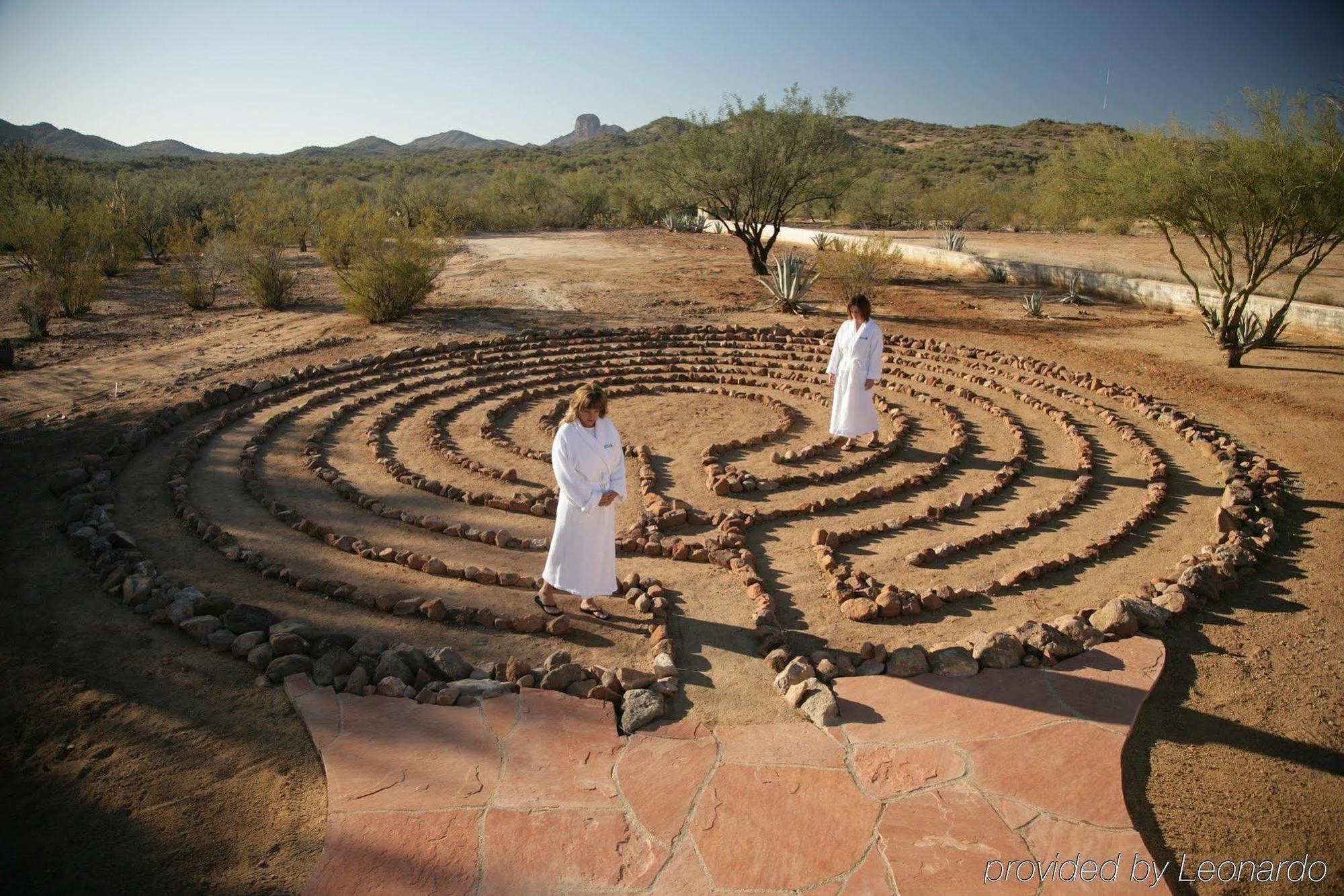 Rancho De Los Caballeros Wickenburg Konforlar fotoğraf